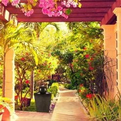 Acheter 🎉 Blumfeldt Décoration D'extérieur Königsbrunn Fontaine Solaire 🔔 -Jardin-et-Bricolage Soldes 10029040 yy 0004 ambient Blumfeldt Koenigsbrunn Solar Springbrunnen reedit