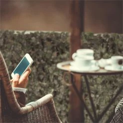 Les meilleures critiques de 🔔 Blumfeldt Marquises Fency Dark Ivy Clôture Pare-vue 🛒 -Jardin-et-Bricolage Soldes 10029242 yy 0004 ambient Blumfeldt Fency Dark Ivy Sichtschutz 3x1m Efeu