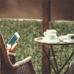 Vente flash ⭐ Blumfeldt Marquises Fency Bright Ivy Clôture Pare-vue 🔥 9 Vente flash ⭐ Blumfeldt Marquises Fency Bright Ivy Clôture Pare-vue 🔥 -Jardin-et-Bricolage Soldes 10029244 yy 0004 ambient Blumfeldt Fency Bright Ivy Sichtschutz 3x1m Efeu