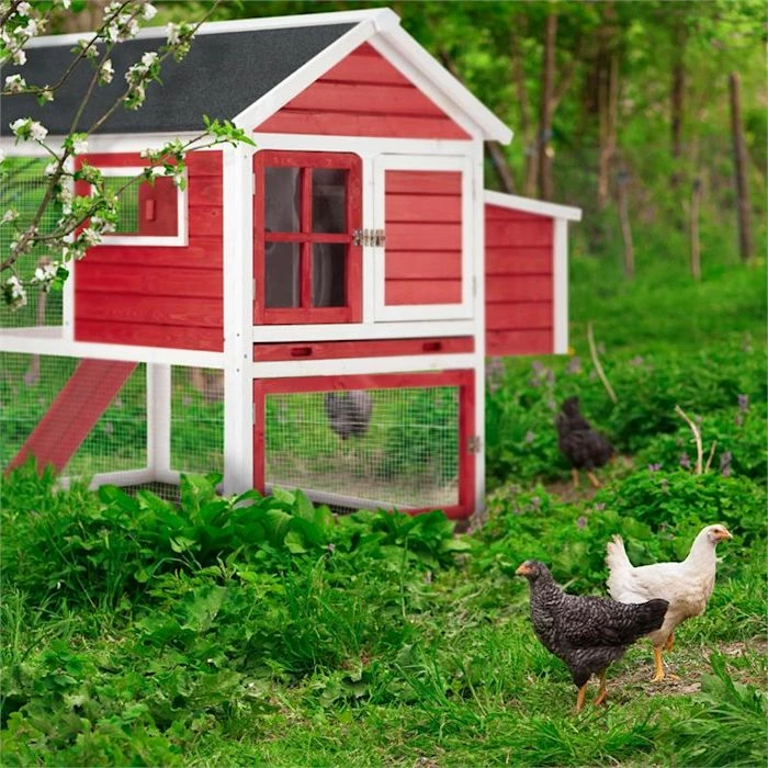 Grosses soldes ❤️ OneConcept Accessoires Pour Animaux Villa Gallo Poulailler 🔔 – Image 4