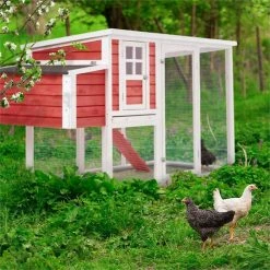 Le moins cher 🎁 OneConcept Accessoires Pour Animaux Villa Ronaldo Poulailler 🎁 -Jardin-et-Bricolage Soldes 10030298 yy 0004 ambient oneConcept Villa Ronaldo Huehnerhaus 2 Plaetze rot reedit