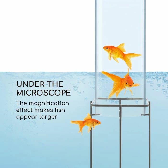 Nouveau 😀 Blumfeldt Outils De Jardinage Skydive 60 Tour à Poissons 😉 3 Nouveau 😀 Blumfeldt Outils De Jardinage Skydive 60 Tour à Poissons 😉 – Image 3