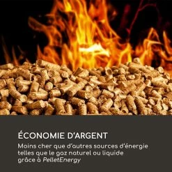 Top 10 👍 Blumfeldt Chauffages Radiants Et Poêles De Jardin Heat Hunter Poêle De Terrasse à Granulés 12,2 KW Mobile Inox Noir 🎁 -Jardin-et-Bricolage Soldes 10035216 fr 0006 logo