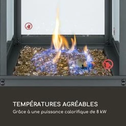 Budget 😀 Blumfeldt Chauffages Radiants Et Poêles De Jardin Flagranti Radiateur à Gaz 🔔 -Jardin-et-Bricolage Soldes 10035385 fr 0003 logo