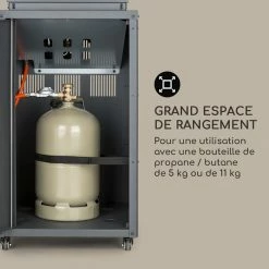 Budget 😀 Blumfeldt Chauffages Radiants Et Poêles De Jardin Flagranti Radiateur à Gaz 🔔 -Jardin-et-Bricolage Soldes 10035385 fr 0006 logo