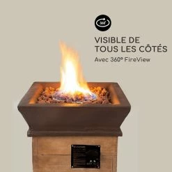 Vente flash 😀 Blumfeldt Chauffages Radiants Et Poêles De Jardin Prati Foyer à Gaz 🤩 -Jardin-et-Bricolage Soldes 10035934 fr 0005 logo