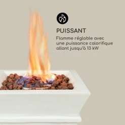 Coupon 🔔 Blumfeldt Chauffages Radiants Et Poêles De Jardin Prati Foyer à Gaz ✨ -Jardin-et-Bricolage Soldes 10035936 fr 0003 logo