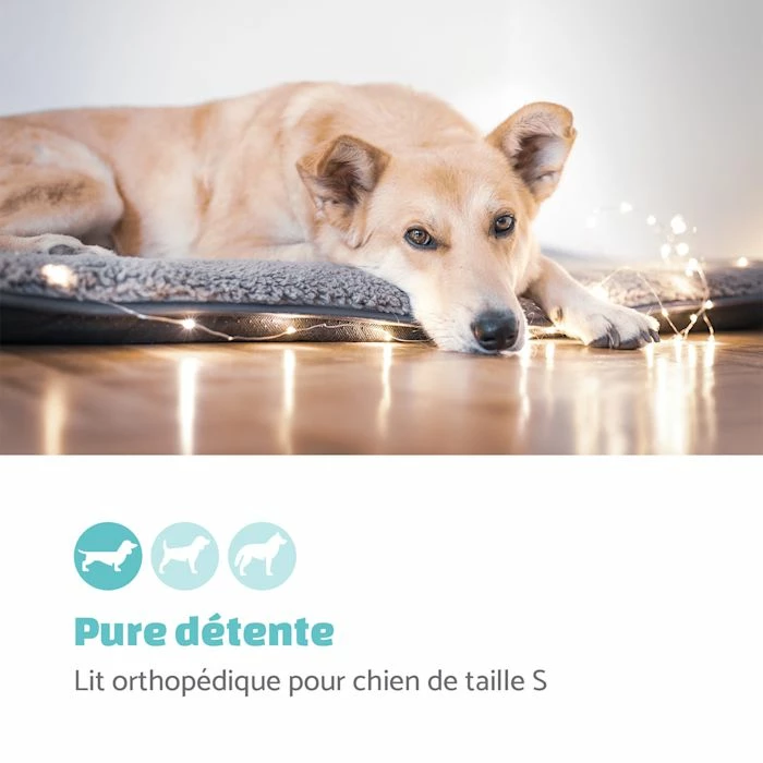 Nouveau ⌛ Brunolie Accessoires Pour Animaux Finn Lit Pour Chien ⌛ 2 Nouveau ⌛ Brunolie Accessoires Pour Animaux Finn Lit Pour Chien ⌛ – Image 2