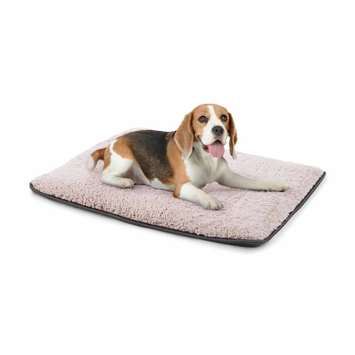 Nouveau ⌛ Brunolie Accessoires Pour Animaux Finn Lit Pour Chien ⌛ 1 Nouveau ⌛ Brunolie Accessoires Pour Animaux Finn Lit Pour Chien ⌛