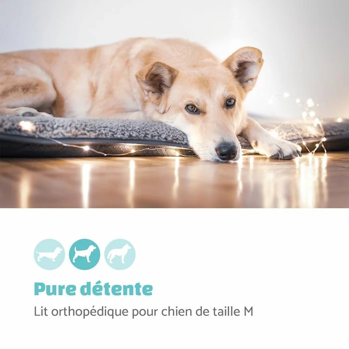 Les meilleures critiques de 🥰 Brunolie Accessoires Pour Animaux Finn Lit Pour Chien 🧨 2 Les meilleures critiques de 🥰 Brunolie Accessoires Pour Animaux Finn Lit Pour Chien 🧨 – Image 2