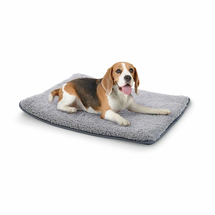 Bon marché 👍 Brunolie Accessoires Pour Animaux Finn Lit Pour Chien 🛒 1 Bon marché 👍 Brunolie Accessoires Pour Animaux Finn Lit Pour Chien 🛒