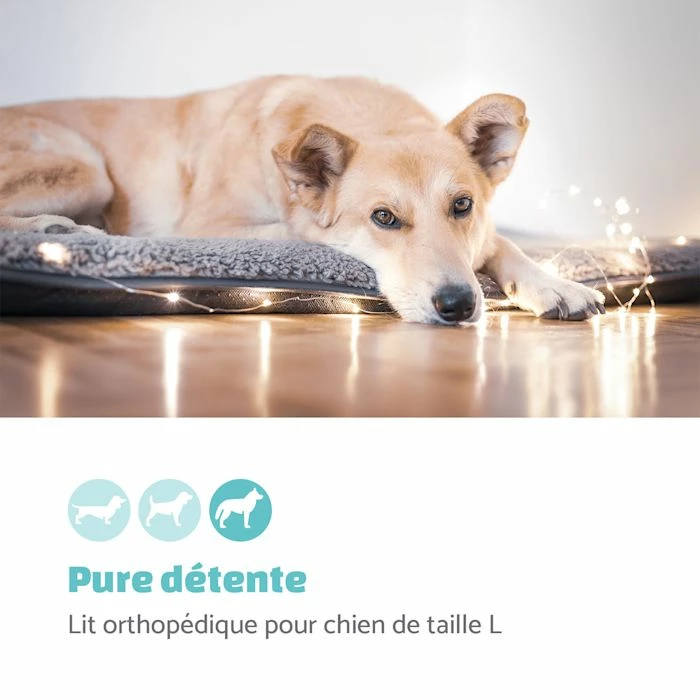 Coupon 🤩 Brunolie Accessoires Pour Animaux Finn Lit Pour Chien 🎁 2 Coupon 🤩 Brunolie Accessoires Pour Animaux Finn Lit Pour Chien 🎁 – Image 2