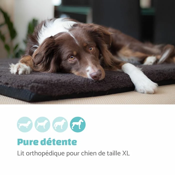 Offres 🥰 Brunolie Accessoires Pour Animaux Luna Lit Pour Chien 🔥 2 Offres 🥰 Brunolie Accessoires Pour Animaux Luna Lit Pour Chien 🔥 – Image 2