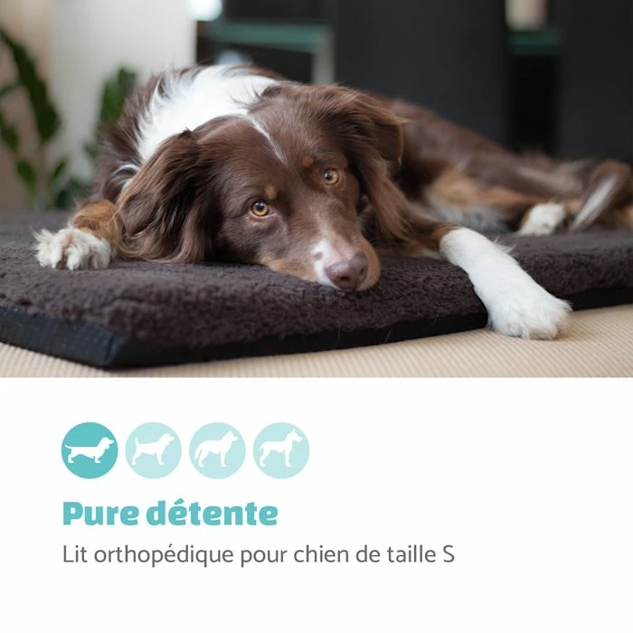 Sortie ✔️ Brunolie Accessoires Pour Animaux Luna Lit Pour Chien ❤️ 2 Sortie ✔️ Brunolie Accessoires Pour Animaux Luna Lit Pour Chien ❤️ – Image 2