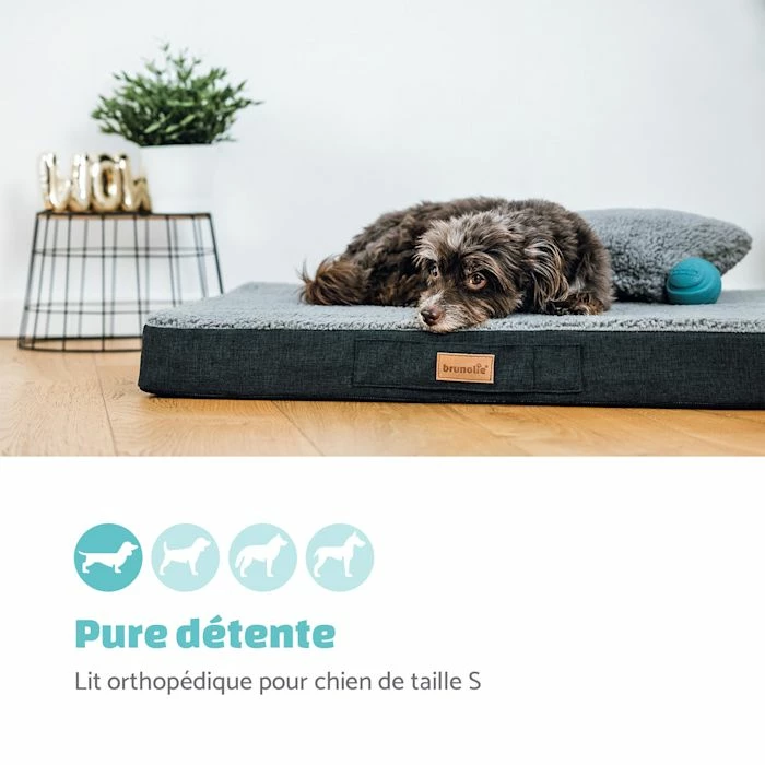 Top 10 🎁 Brunolie Accessoires Pour Animaux Balu XXL Coussin Pour Lit De Chien 🔥 2 Top 10 🎁 Brunolie Accessoires Pour Animaux Balu XXL Coussin Pour Lit De Chien 🔥 – Image 2