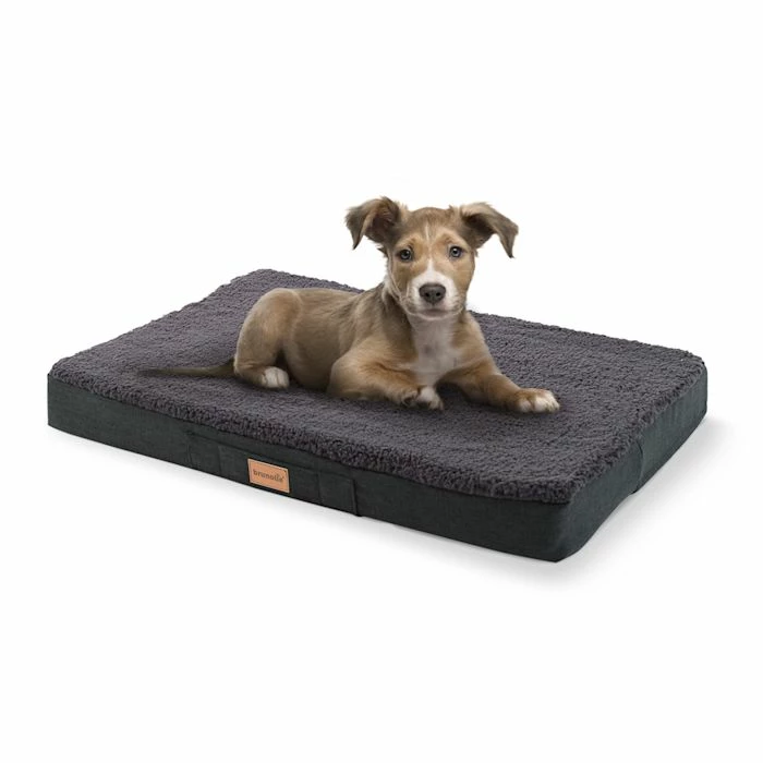 Top 10 🎁 Brunolie Accessoires Pour Animaux Balu XXL Coussin Pour Lit De Chien 🔥 1 Top 10 🎁 Brunolie Accessoires Pour Animaux Balu XXL Coussin Pour Lit De Chien 🔥