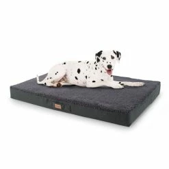 Meilleure affaire 🔔 Brunolie Accessoires Pour Animaux Balu XXL Coussin Pour Lit De Chien 🤩
