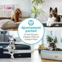 Top 10 👏 Brunolie Accessoires Pour Animaux Balu XXL Coussin Pour Lit De Chien 🌟 -Jardin-et-Bricolage Soldes 10037558 fr 0006 logo