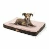 Budget ❤️ Brunolie Accessoires Pour Animaux Balu XXL Coussin Pour Lit De Chien 🧨