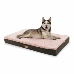 Nouveau 👏 Brunolie Accessoires Pour Animaux Balu XXL Coussin Pour Lit De Chien 😍