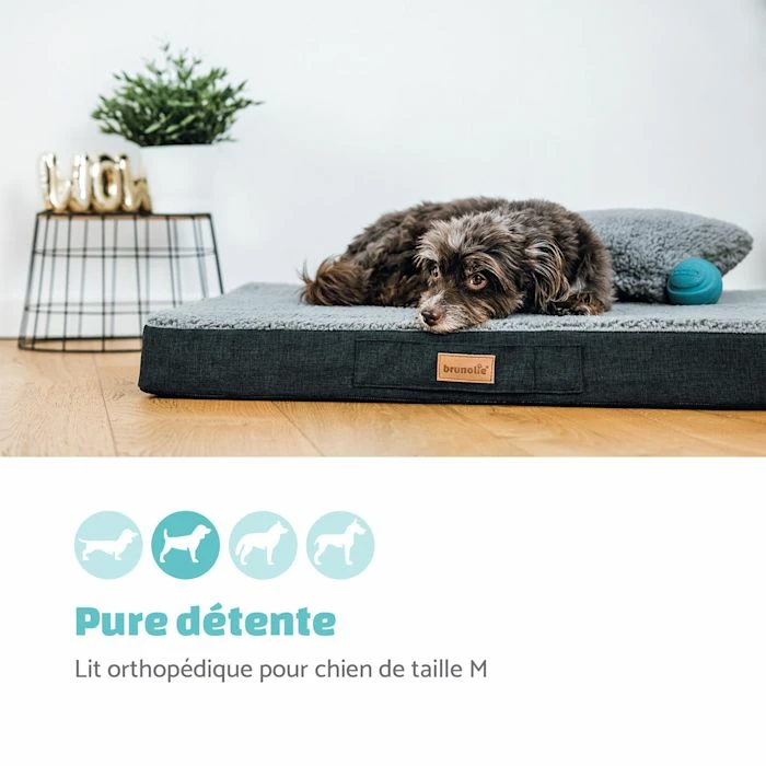 Budget 🔔 Brunolie Accessoires Pour Animaux Balu XXL Coussin Pour Lit De Chien 🔥 2 Budget 🔔 Brunolie Accessoires Pour Animaux Balu XXL Coussin Pour Lit De Chien 🔥 – Image 2