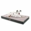 Meilleure affaire 😀 Brunolie Accessoires Pour Animaux Balu XXL Coussin Pour Lit De Chien ❤️