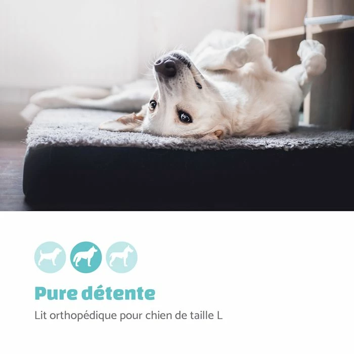 Top 10 🔥 Brunolie Accessoires Pour Animaux Lit Pour Chien 😍 2 Top 10 🔥 Brunolie Accessoires Pour Animaux Lit Pour Chien 😍 – Image 2