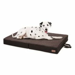 Top 10 🔥 Brunolie Accessoires Pour Animaux Lit Pour Chien 😍