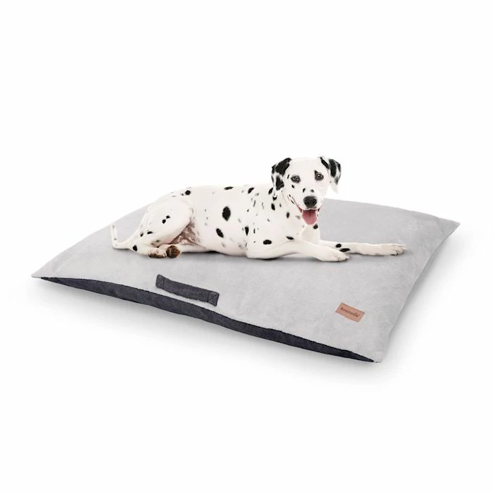 Promo ✨ Brunolie Accessoires Pour Animaux Henry Tapis De Lit Pour Chien 🥰 1 Promo ✨ Brunolie Accessoires Pour Animaux Henry Tapis De Lit Pour Chien 🥰