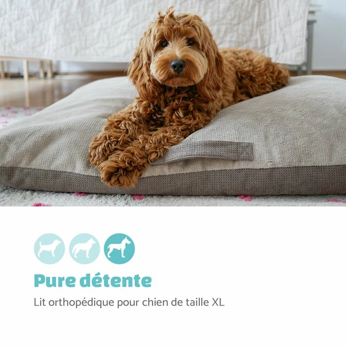 Coupon 🎁 Brunolie Accessoires Pour Animaux Henry Tapis De Lit Pour Chien ✔️ 2 Coupon 🎁 Brunolie Accessoires Pour Animaux Henry Tapis De Lit Pour Chien ✔️ – Image 2