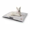 Coupon 🎁 Brunolie Accessoires Pour Animaux Henry Tapis De Lit Pour Chien ✔️