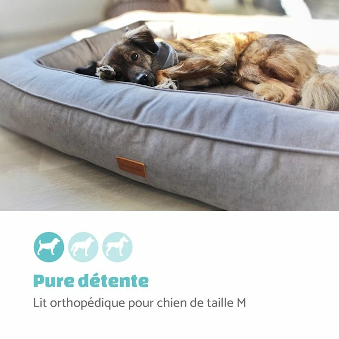 Meilleure vente đ„° Brunolie Accessoires Pour Animaux Bruno Lit Pour Chien L â 2 Meilleure vente đ„° Brunolie Accessoires Pour Animaux Bruno Lit Pour Chien L â â Image 2