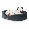 Top 10 💯 Brunolie Accessoires Pour Animaux Lotte Lit Pour Chien Coussin 🤩