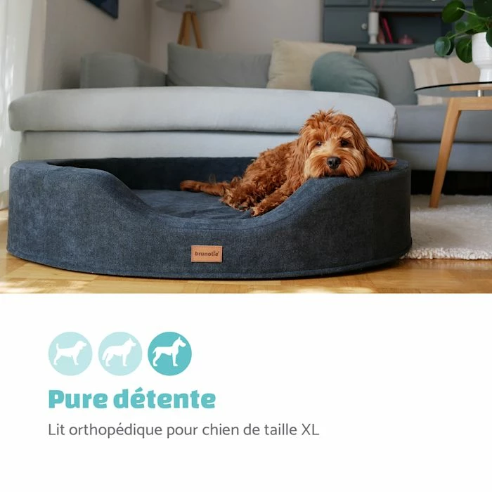 Bon marché 😉 Brunolie Accessoires Pour Animaux Lotte Lit Pour Chien Coussin ⌛ 2 Bon marché 😉 Brunolie Accessoires Pour Animaux Lotte Lit Pour Chien Coussin ⌛ – Image 2
