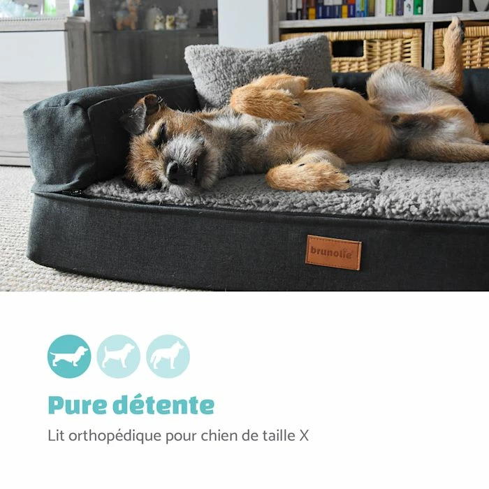 Top 10 💯 Brunolie Accessoires Pour Animaux Odin Lit Pour Chien Matelas Lavable Orthopédique Antidérapant Respirant Mousse à Mémoire De Forme Taille M (100 × 12 × 80 Cm) ⭐ 2 Top 10 💯 Brunolie Accessoires Pour Animaux Odin Lit Pour Chien Matelas Lavable Orthopédique Antidérapant Respirant Mousse à Mémoire De Forme Taille M (100 × 12 × 80 Cm) ⭐ – Image 2