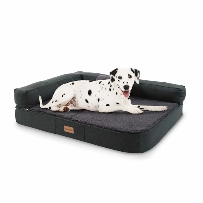 Top 10 💯 Brunolie Accessoires Pour Animaux Odin Lit Pour Chien Matelas Lavable Orthopédique Antidérapant Respirant Mousse à Mémoire De Forme Taille M (100 × 12 × 80 Cm) ⭐ 1 Top 10 💯 Brunolie Accessoires Pour Animaux Odin Lit Pour Chien Matelas Lavable Orthopédique Antidérapant Respirant Mousse à Mémoire De Forme Taille M (100 × 12 × 80 Cm) ⭐