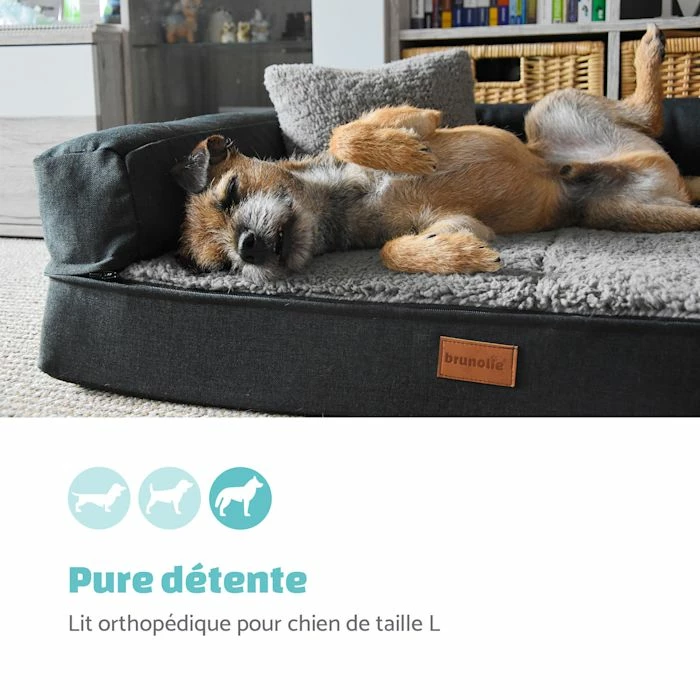 Coupon 🎁 Brunolie Accessoires Pour Animaux Odin Lit Pour Chien Matelas Lavable Orthopédique Antidérapant Respirant Mousse à Mémoire De Forme Taille L (120 × 12 × 80 Cm) 👍 2 Coupon 🎁 Brunolie Accessoires Pour Animaux Odin Lit Pour Chien Matelas Lavable Orthopédique Antidérapant Respirant Mousse à Mémoire De Forme Taille L (120 × 12 × 80 Cm) 👍 – Image 2