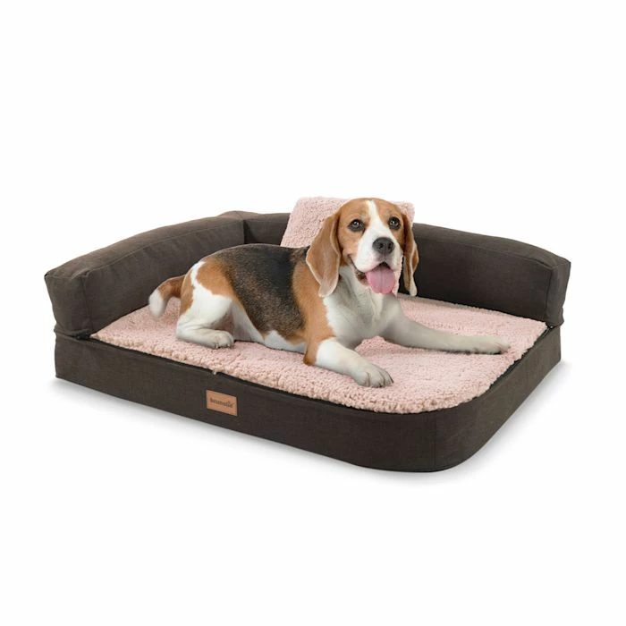 Top 10 🔔 Brunolie Accessoires Pour Animaux Odin Lit Pour Chien Matelas Lavable Orthopédique Antidérapant Respirant Mousse à Mémoire De Forme Taille S (80 × 10 × 60 Cm) 🔔 1 Top 10 🔔 Brunolie Accessoires Pour Animaux Odin Lit Pour Chien Matelas Lavable Orthopédique Antidérapant Respirant Mousse à Mémoire De Forme Taille S (80 × 10 × 60 Cm) 🔔