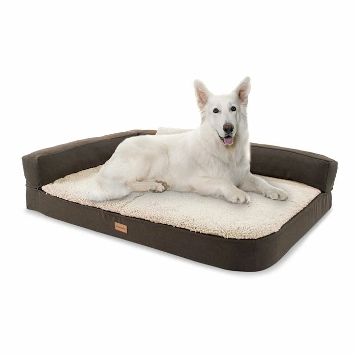 Tout neuf 🎉 Brunolie Accessoires Pour Animaux Odin Lit Pour Chien Matelas Lavable Orthopédique Antidérapant Respirant Mousse à Mémoire De Forme Taille L (120 × 12 × 80 Cm) 🔔 1 Tout neuf 🎉 Brunolie Accessoires Pour Animaux Odin Lit Pour Chien Matelas Lavable Orthopédique Antidérapant Respirant Mousse à Mémoire De Forme Taille L (120 × 12 × 80 Cm) 🔔