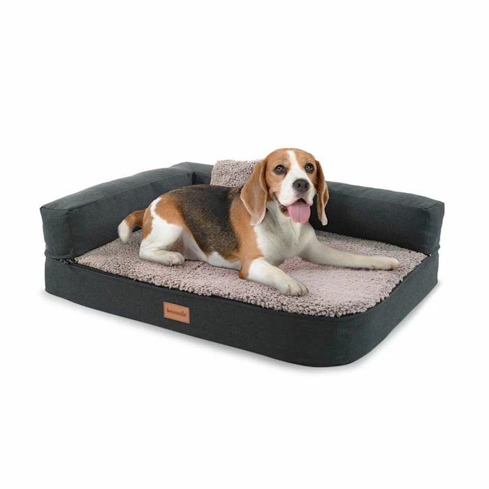 Top 10 👏 Brunolie Accessoires Pour Animaux Odin Lit Pour Chien Matelas Lavable Orthopédique Antidérapant Respirant Mousse à Mémoire De Forme Taille S (80 X 10 X 60 Cm) 👏 1 Top 10 👏 Brunolie Accessoires Pour Animaux Odin Lit Pour Chien Matelas Lavable Orthopédique Antidérapant Respirant Mousse à Mémoire De Forme Taille S (80 X 10 X 60 Cm) 👏