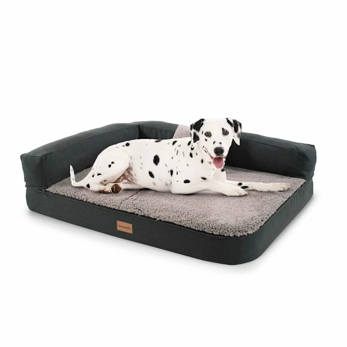 Bon marché 🛒 Brunolie Accessoires Pour Animaux Odin Lit Pour Chien Matelas Lavable Orthopédique Antidérapant Respirant Mousse à Mémoire De Forme Taille M (100 X 12 X 80 Cm) ✔️ 1 Bon marché 🛒 Brunolie Accessoires Pour Animaux Odin Lit Pour Chien Matelas Lavable Orthopédique Antidérapant Respirant Mousse à Mémoire De Forme Taille M (100 X 12 X 80 Cm) ✔️