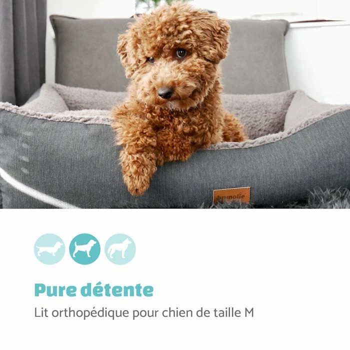 Sortie ✔️ Brunolie Accessoires Pour Animaux Emma Lit Pour Chien 👍 2 Sortie ✔️ Brunolie Accessoires Pour Animaux Emma Lit Pour Chien 👍 – Image 2