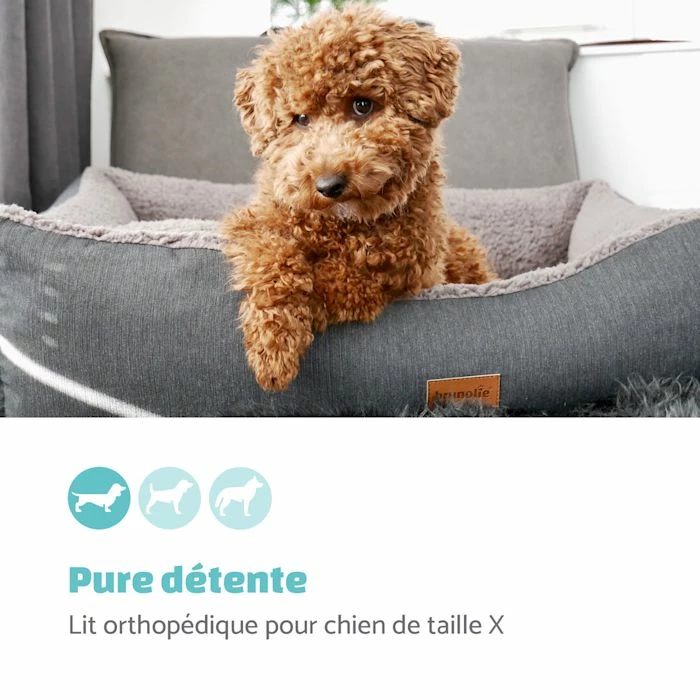 Vente flash 😉 Brunolie Accessoires Pour Animaux Emma Lit Pour Chien 🛒 2 Vente flash 😉 Brunolie Accessoires Pour Animaux Emma Lit Pour Chien 🛒 – Image 2