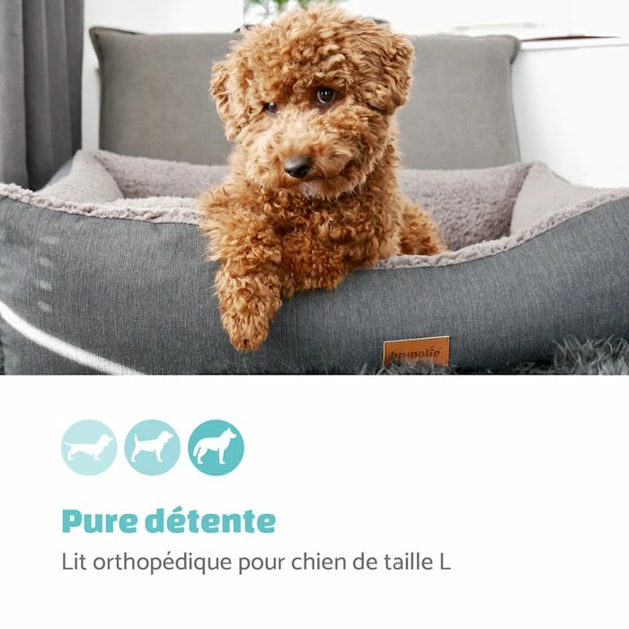 Le moins cher 😀 Brunolie Accessoires Pour Animaux Emma Lit Pour Chien 👍 2 Le moins cher 😀 Brunolie Accessoires Pour Animaux Emma Lit Pour Chien 👍 – Image 2