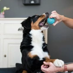 Top 10 ✨ Brunolie Accessoires Pour Animaux Balle En Caoutchouc Jouet Pour Chien 🔔 -Jardin-et-Bricolage Soldes 10037623 yy 0003 logo