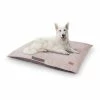 Top 10 🧨 Brunolie Accessoires Pour Animaux Henry Tapis De Lit Pour Chien 🔔