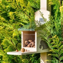 Top 10 🥰 Blumfeldt Accessoires Pour Animaux Mangeoire Pour écureuils 🎁 -Jardin-et-Bricolage Soldes 10038023 yy 0006 logo