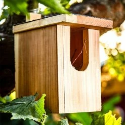 Acheter 🔔 Blumfeldt Accessoires Pour Animaux Nichoir Pour Rouge-gorges ✨ -Jardin-et-Bricolage Soldes 10038078 yy 0003 logo