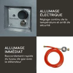 Budget 🤩 Blumfeldt Chauffages Radiants Et Poêles De Jardin Foyer à Gaz Pilos 🔥 -Jardin-et-Bricolage Soldes 10039399 fr 0005 logo