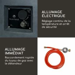 Meilleure affaire 🎉 Blumfeldt Chauffages Radiants Et Poêles De Jardin Foyer à Gaz Pilos 🧨 -Jardin-et-Bricolage Soldes 10039400 fr 0005 logo